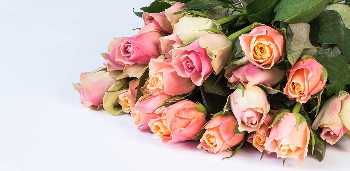 En liggende blomsterbukett av rosahvite roser.